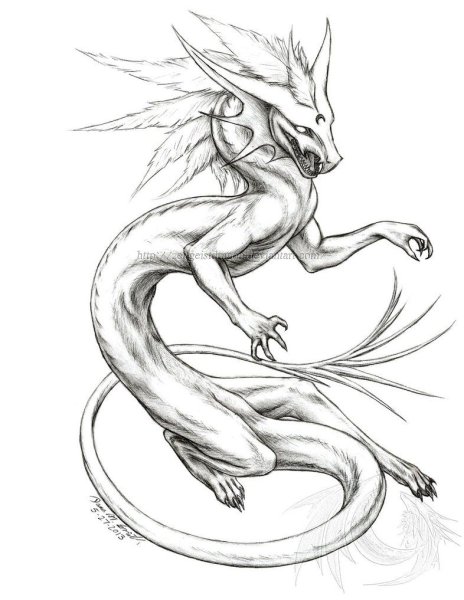 Нарисованный дракон длинный