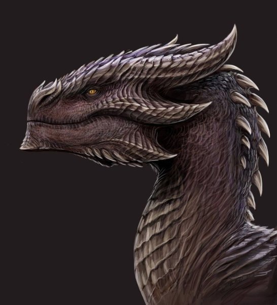 Рисунки дракон анфас