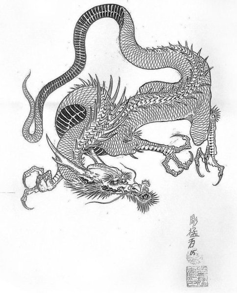 Fuku Riu дракон