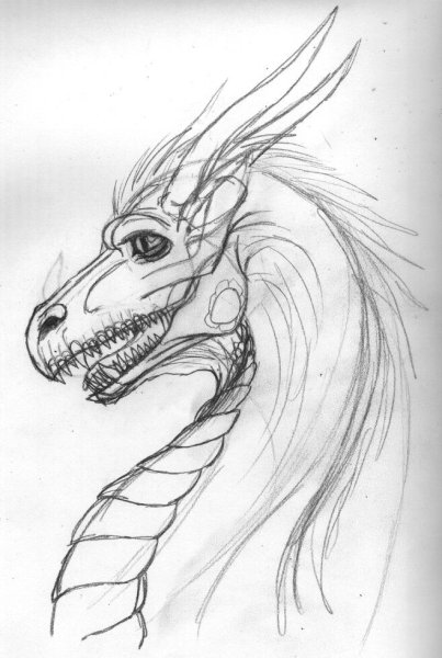 Голова дракона зарисовки