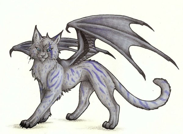 Кошка с крыльями дракона