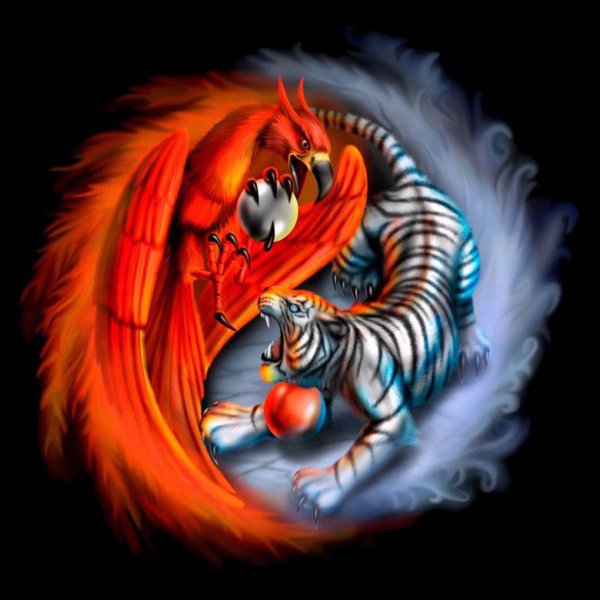 Инь Янь тигр и дракон картина