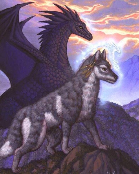 Дракон и волк