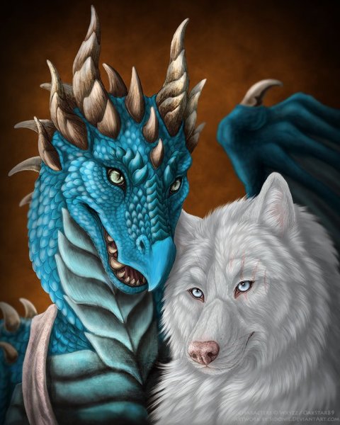 Волк и дракон арт