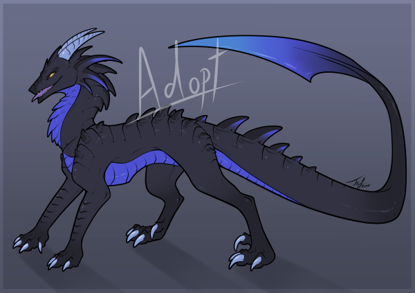 Shadow Dragon adopt me