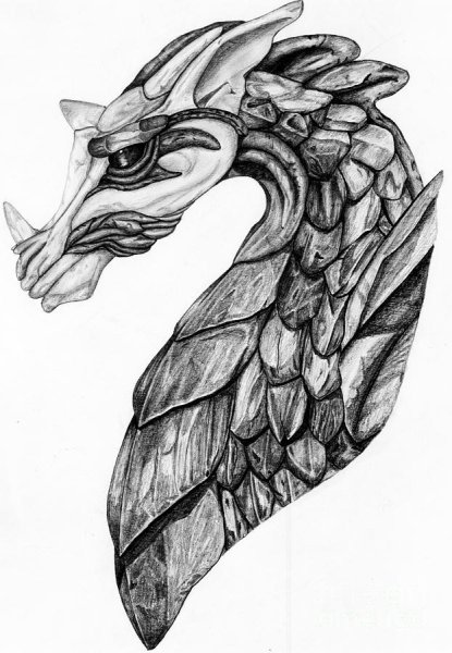 Рисунки дракон на камне