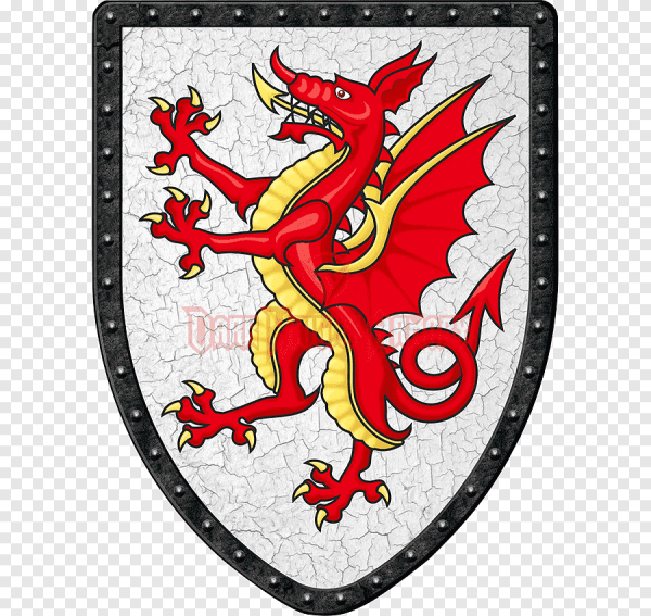 Орден дракона Рыцарский орден
