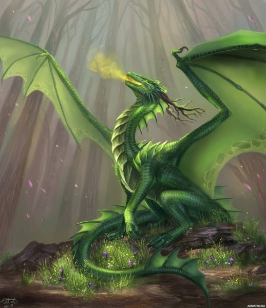 Зелёный дракон виверна