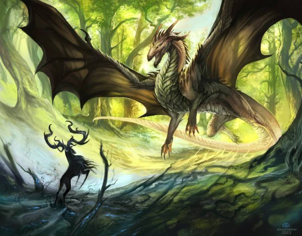 Лесной дракон Эш арт