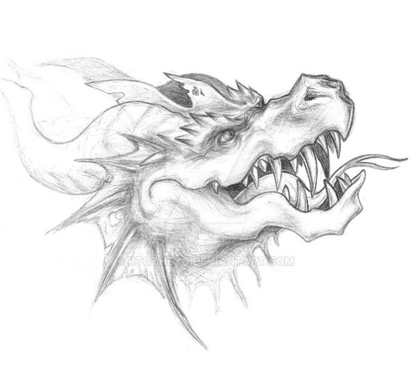 Рисунки дракон рычит