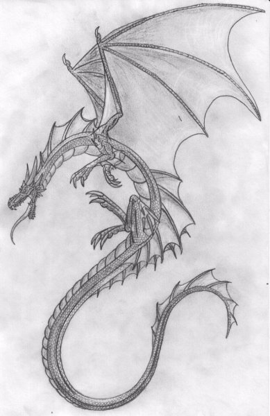 Красивые рисунки драконов карандашом
