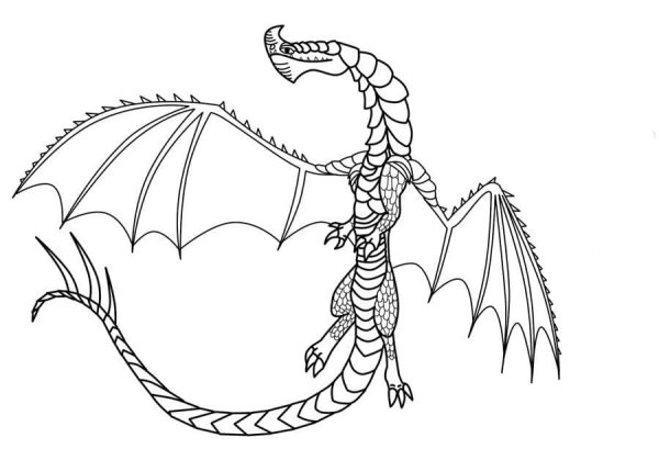 Раскраска драконы защитники Олуха
