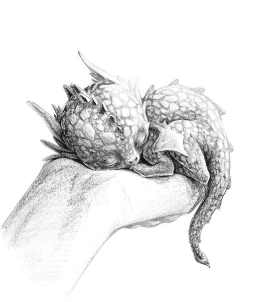 Спящий дракон тату