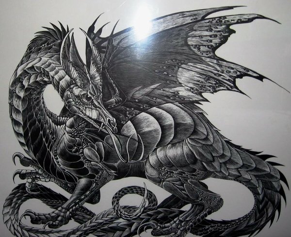 Сюаньлун черный дракон арт