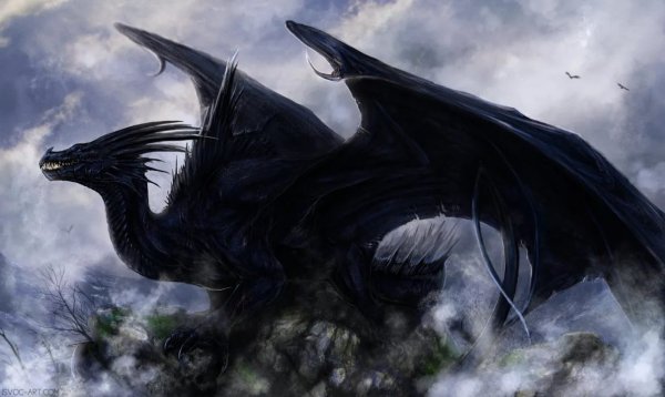 Гебридский чёрный дракон (Hebridean Black)