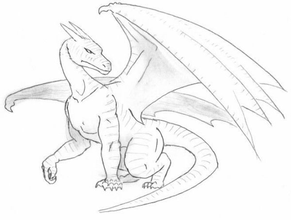Рисунки дракон целиком