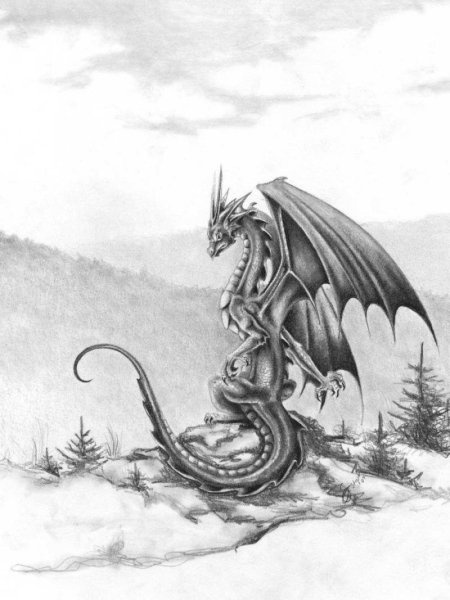 Рисунки простым карандашом драконы