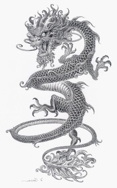 Тяньлун дракон