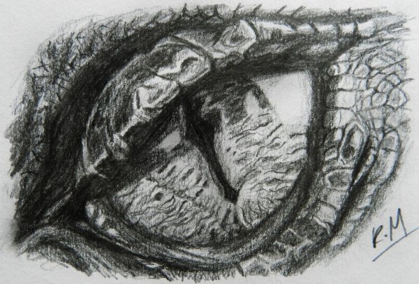 Рисунки дракона из хоббита