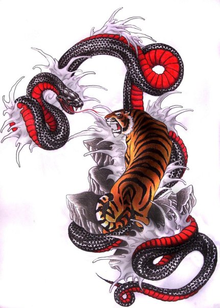 Татуировки якудзы с тигром и драконом
