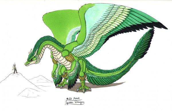 Зеленый дракон на белом фоне