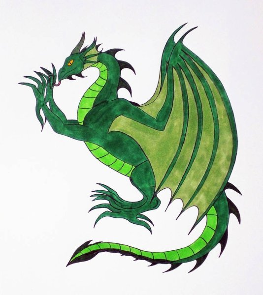 Зеленый дракон рисунок