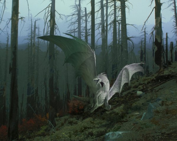 Реалистичный дракон в лесу