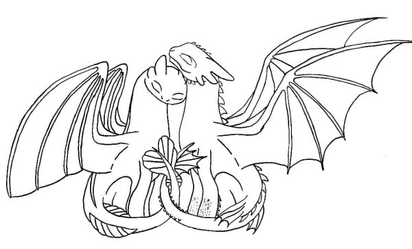 Раскраска дракона Беззубика и дневная фурия