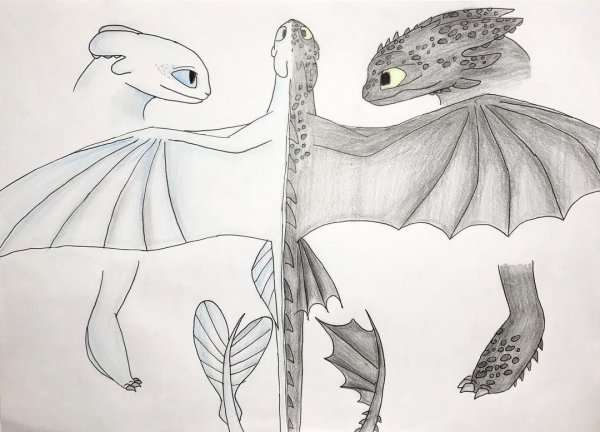 Рисунки драконов из приручить дракона