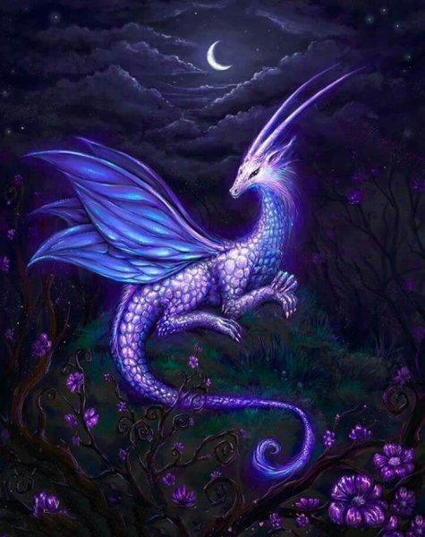 Дракон фиолетовый