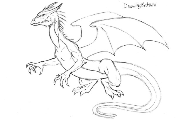 Крутые рисунки карандашом дракон