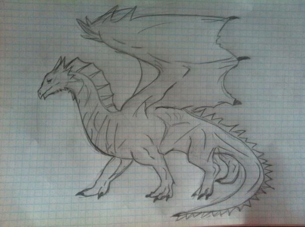 Рисунок дракона для срисовки