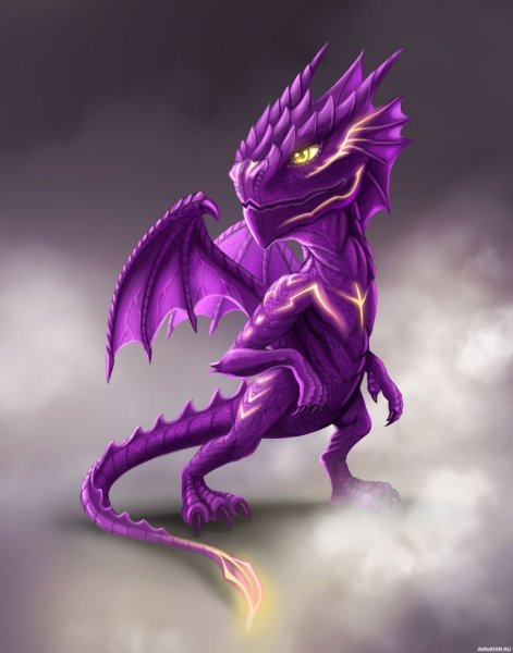 Маласса дракон