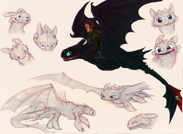 Рисунки фурии дракона