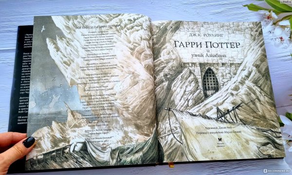 Гарри Поттер иллюстрации Джим Кей