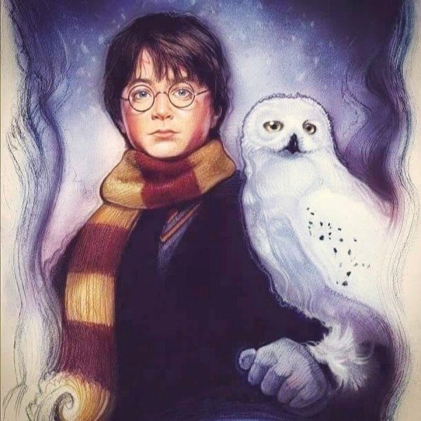 Гарри Поттер книжные иллюстрации