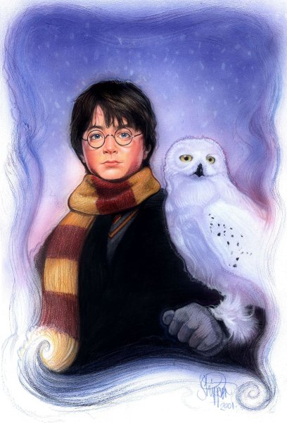 Гарри Поттер и философский камень арт Гарри