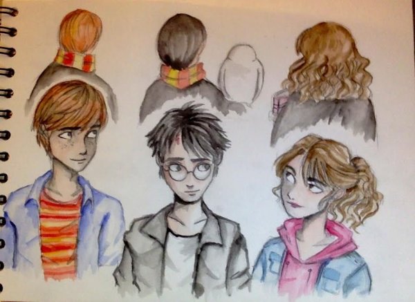 Гарри Поттер и Гермиона рисунок