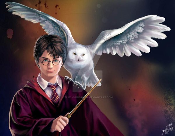 Гарри Поттер с совой на плече