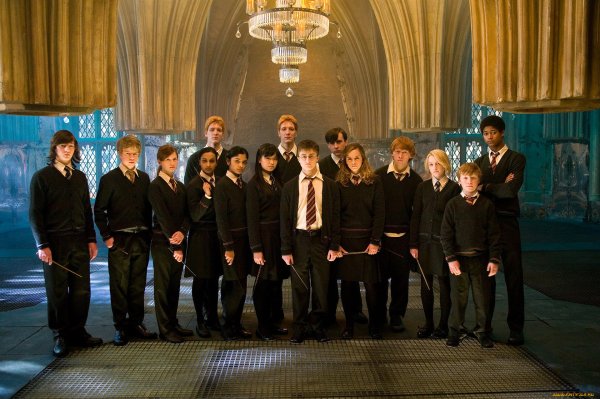 Harry Potter отряд Дамблдора