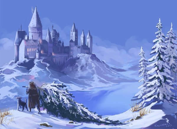 Harry Potter замок Хогвартс зима