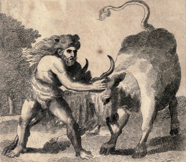 Миф 12 подвигов Геракла Критский бык