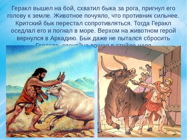 Миф 12 подвигов Геракла Критский бык