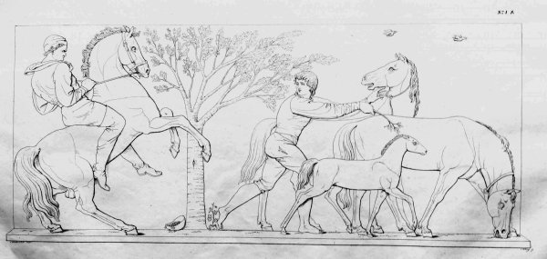 Геракл рисунок карандашом кони Диомеда