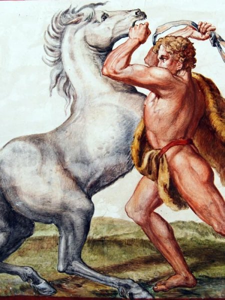 Рисунки геракла с лошадью