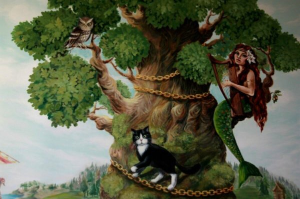Сказка Пушкина дуб зеленый кот ученый