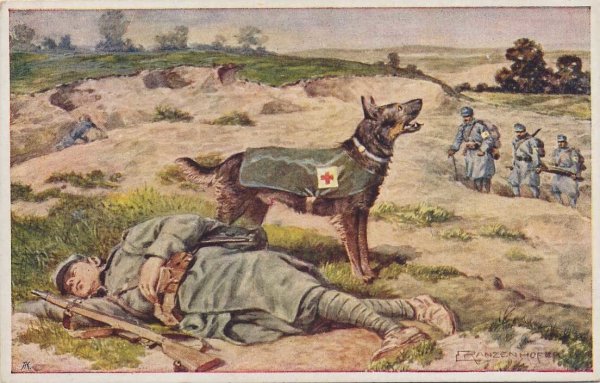 Собаки герои Великой Отечественной войны санитары