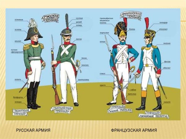 Форма солдат французской армии 1812 года