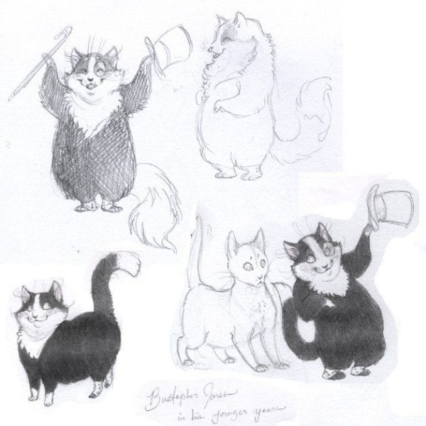 Иллюстрация к мюзиклу кошки