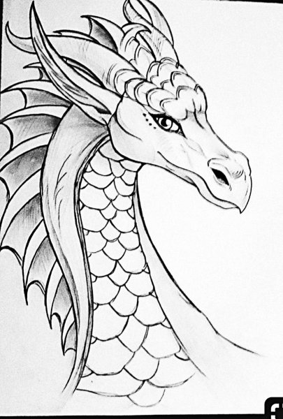 Рисунки глава дракона